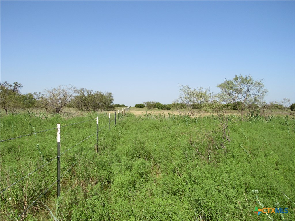 542 County Road 2275 Property Photo 14