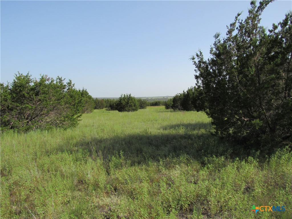 542 County Road 2275 Property Photo 16
