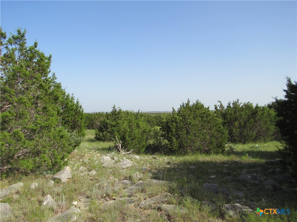542 County Road 2275 Property Photo 18