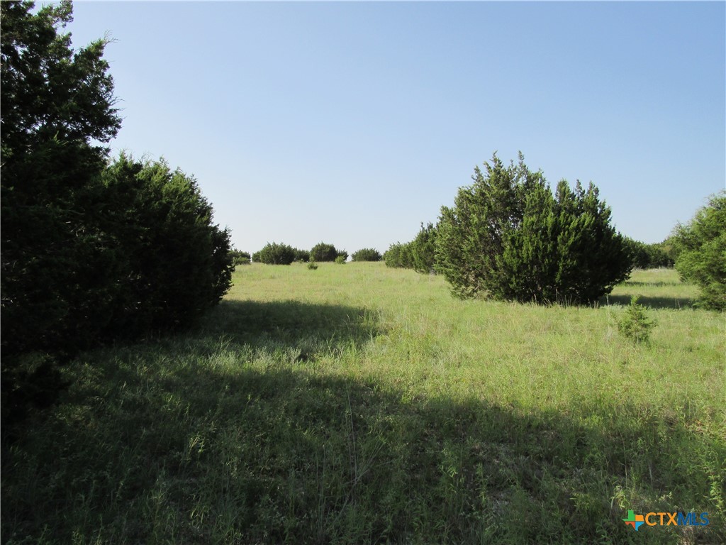 542 County Road 2275 Property Photo 20