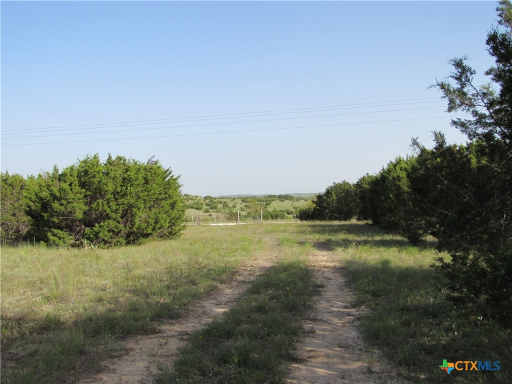 542 County Road 2275 Property Photo 23