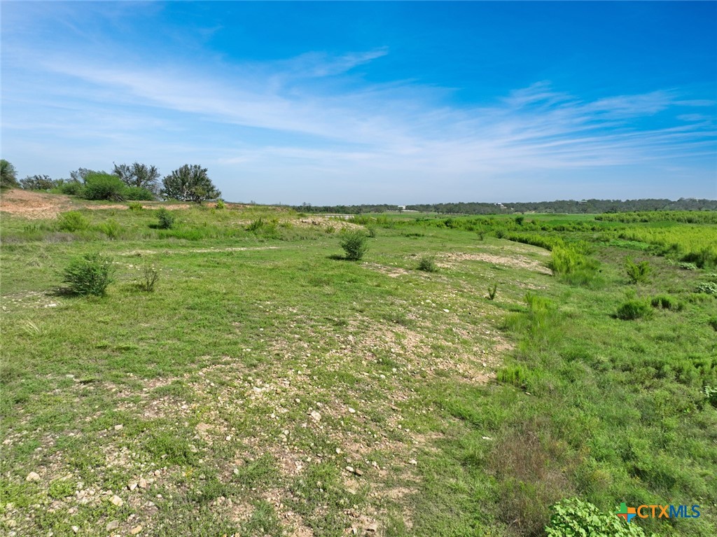 281 Chimney Cove Drive Property Photo 20