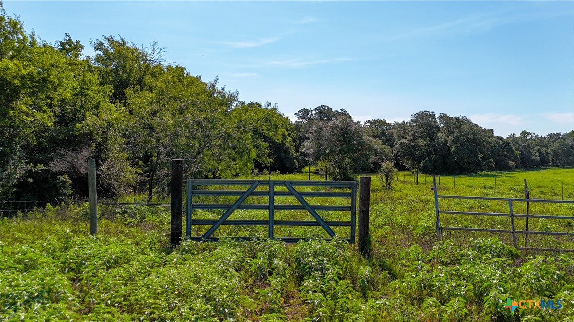 985 Dewberry Lane Property Photo 2