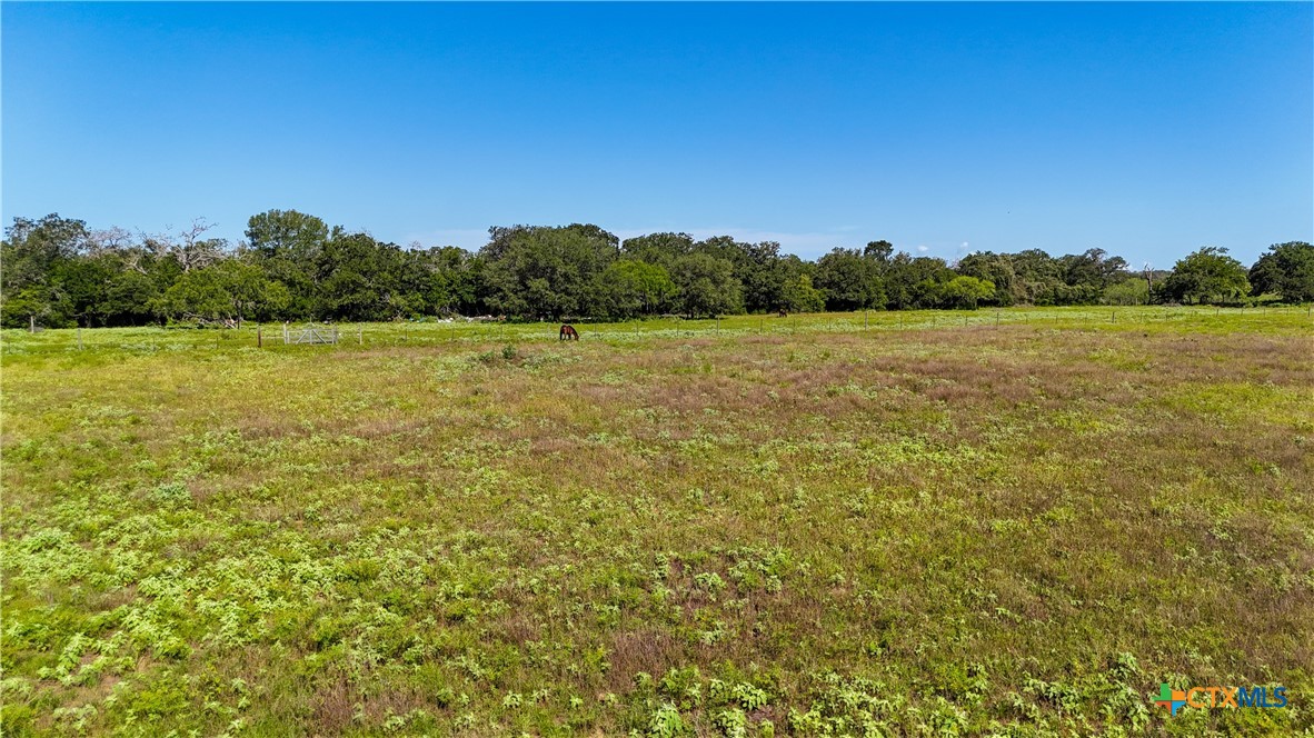 985 Dewberry Lane Property Photo 14