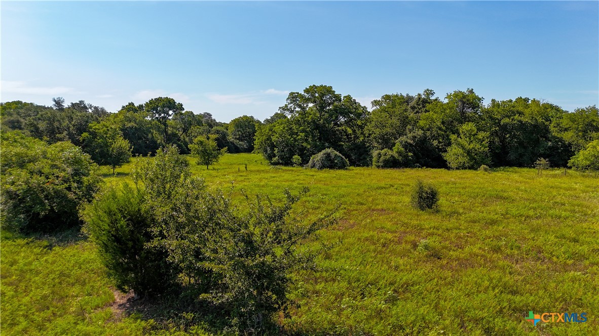 985 Dewberry Lane Property Photo 15