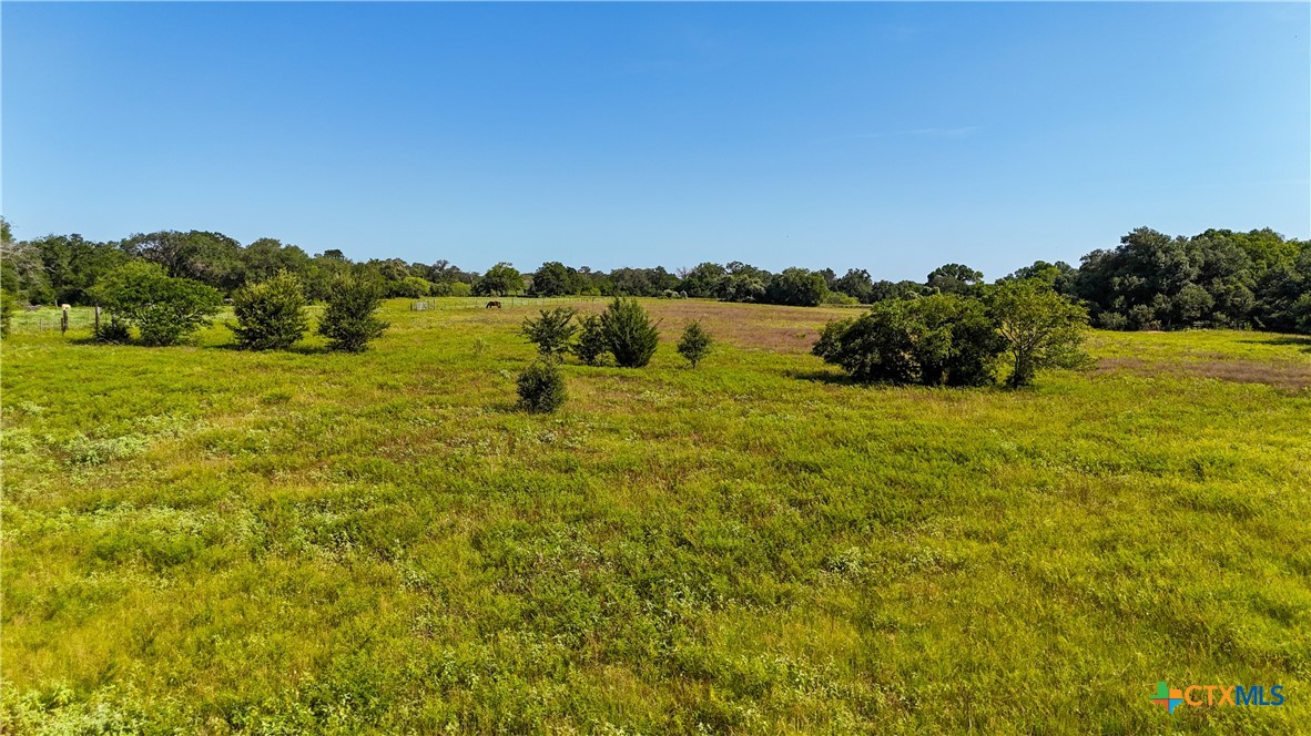 985 Dewberry Lane Property Photo 16