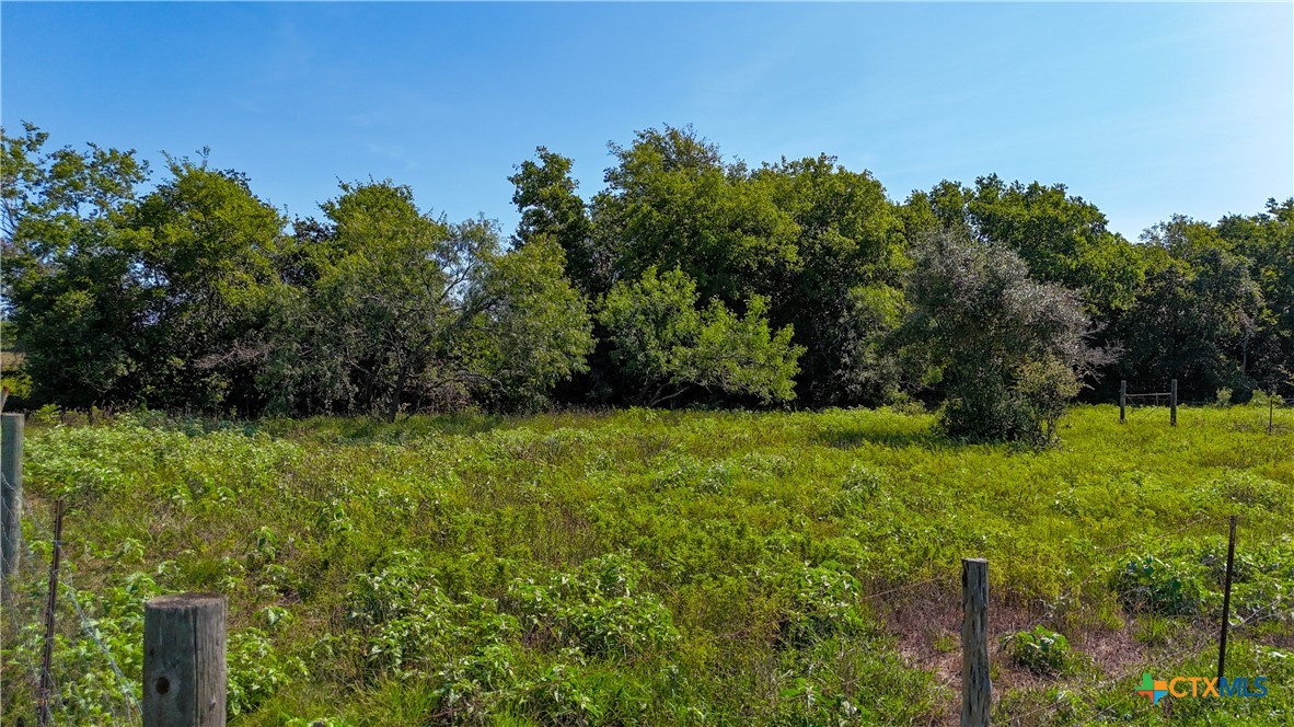 985 Dewberry Lane Property Photo 18