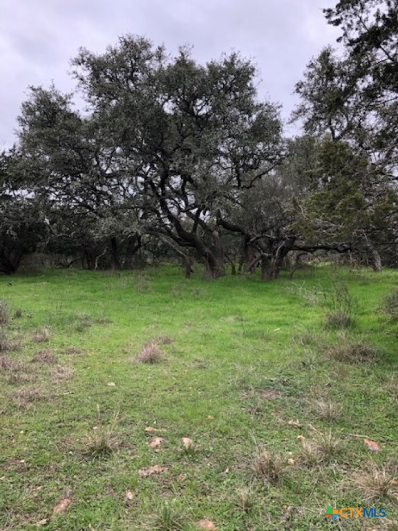 8205 Wegner Road Property Photo 7