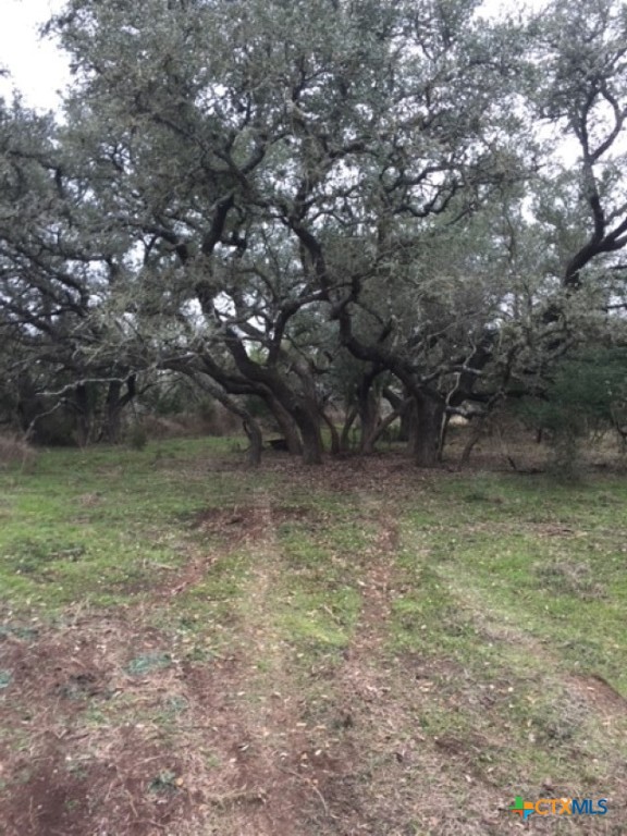 8205 Wegner Road Property Photo 14