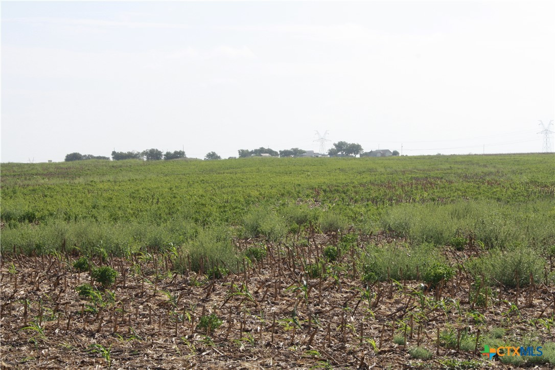 Tbd Gooseneck Road 1 Property Photo 6