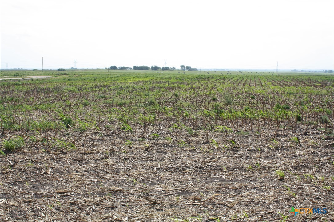 Tbd Gooseneck Road 1 Property Photo 7