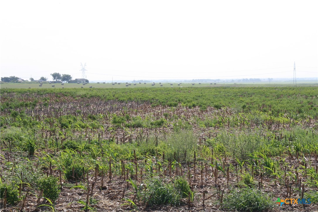 Tbd Gooseneck Road 2 Property Photo 5