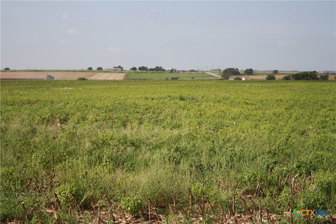 Tbd Gooseneck Road 2 Property Photo 6
