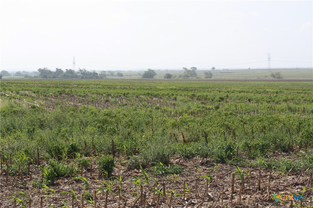 Tbd Gooseneck Road 3 Property Photo 4