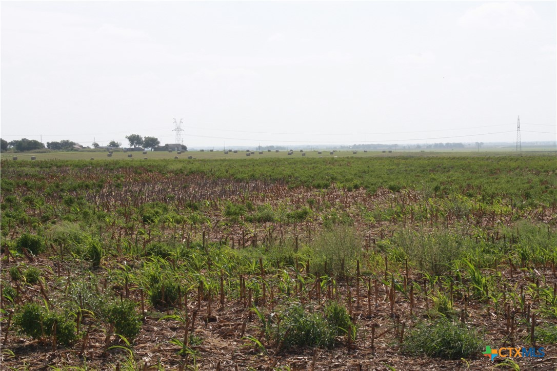 Tbd Gooseneck Road 3 Property Photo 6