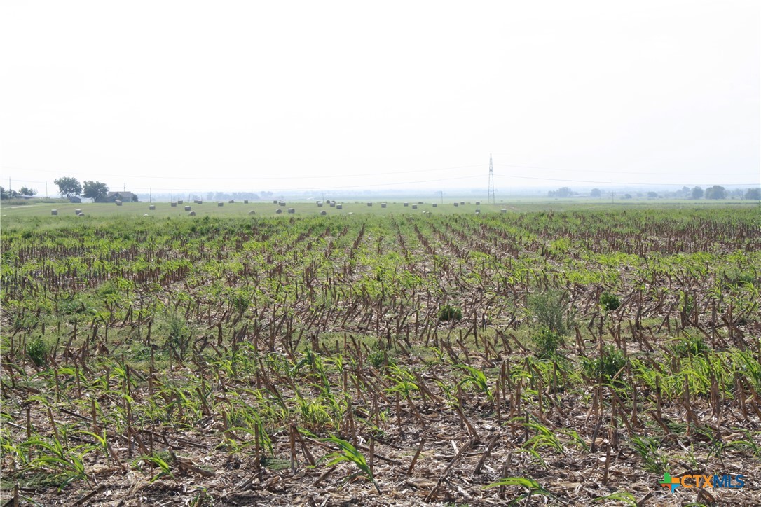 Tbd Gooseneck Road 3 Property Photo 8