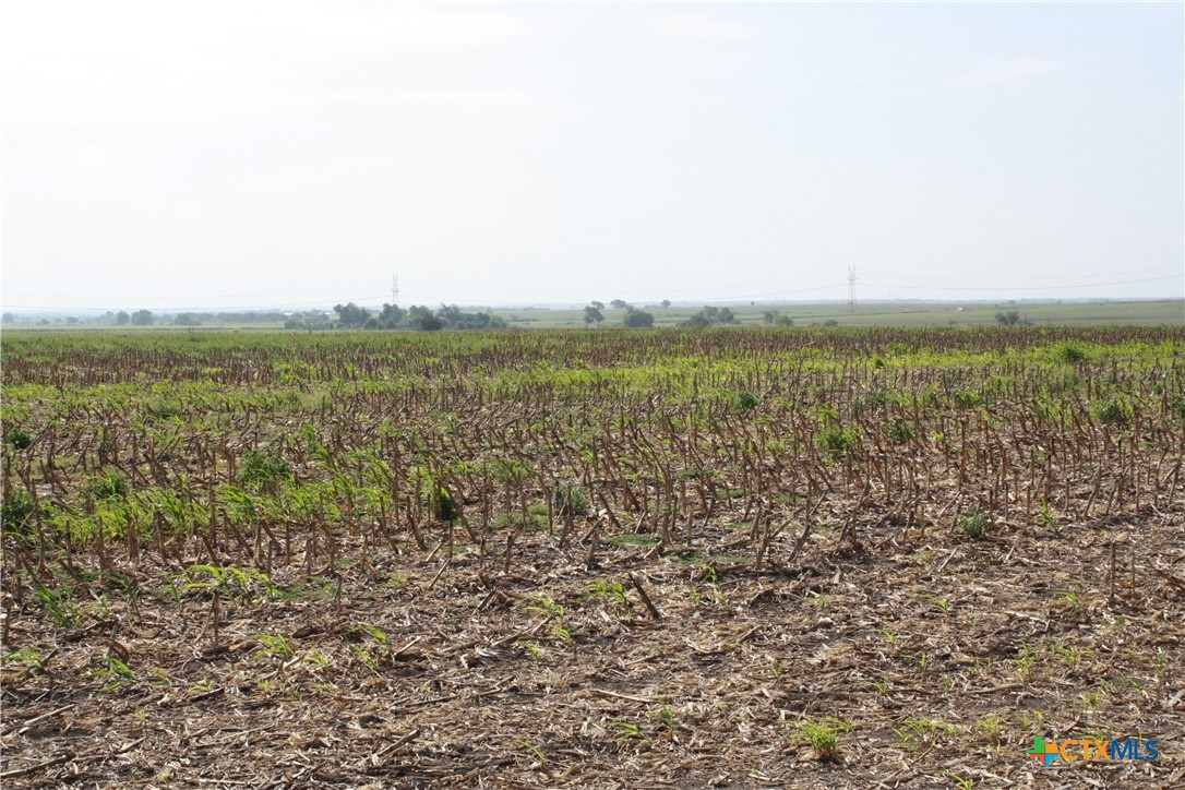 Tbd Gooseneck Road 4 Property Photo 4