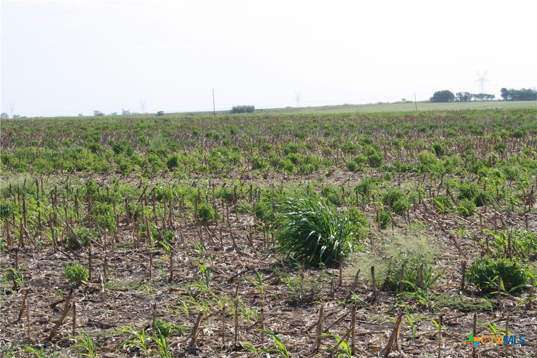 Tbd Gooseneck Road 5 Property Photo 6