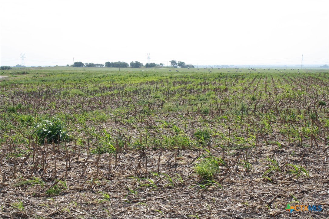 Tbd Gooseneck Road 5 Property Photo 9