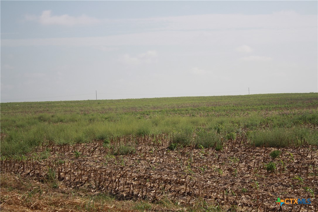 Tbd Gooseneck Road 6 Property Photo 4