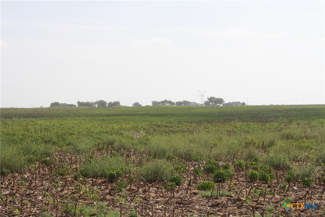 Tbd Gooseneck Road 6 Property Photo 6