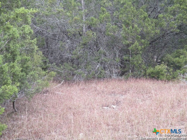 678 Butler Oaks Property Photo 17