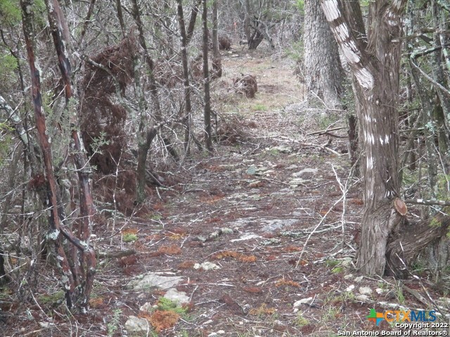 678 Butler Oaks Property Photo 18