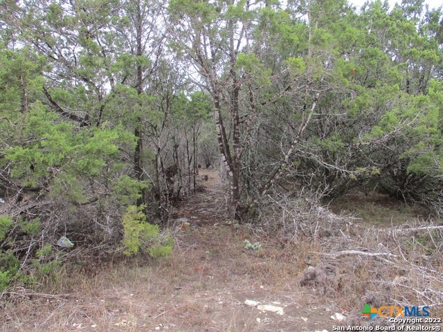 678 Butler Oaks Property Photo 19