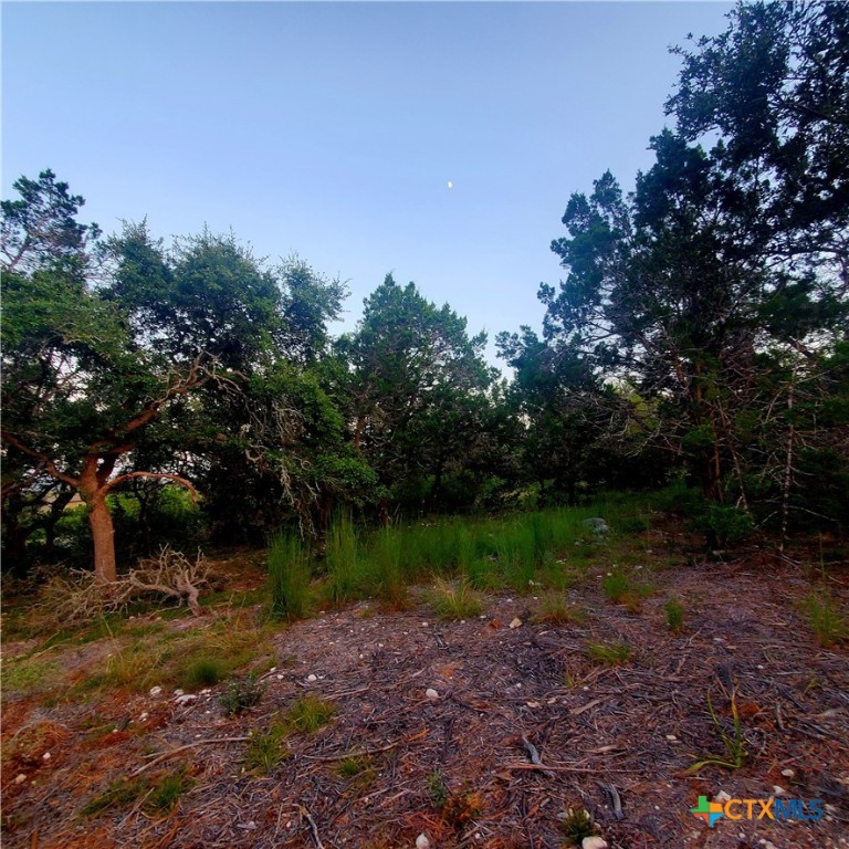 284 Kellog Property Photo 8
