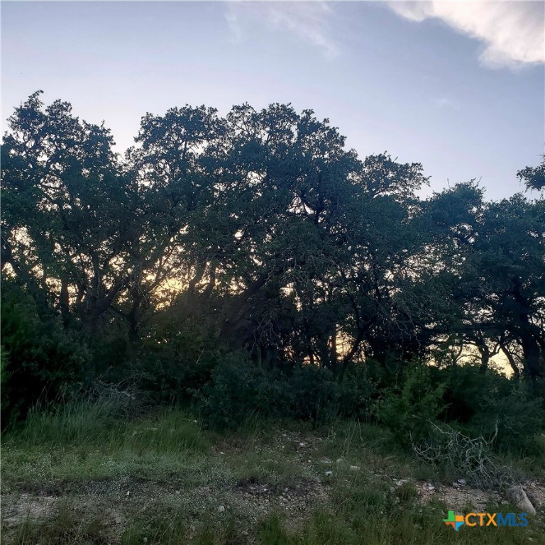 284 Kellog Property Photo 12