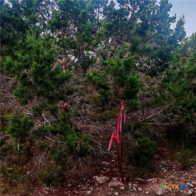 284 Kellog Property Photo 13