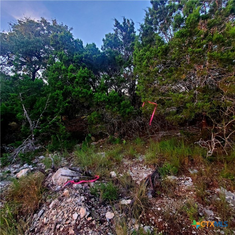 284 Kellog Property Photo 17