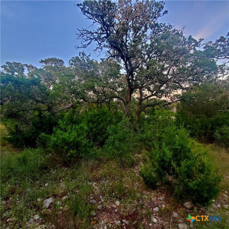 284 Kellog Property Photo 20
