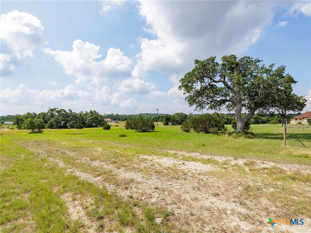 317 John Price Property Photo 20