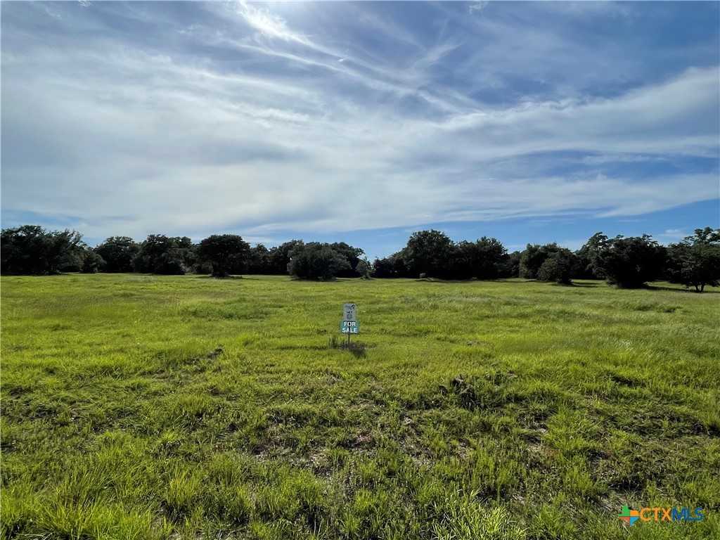 0 Mustang Valley Drive Property Photo 1