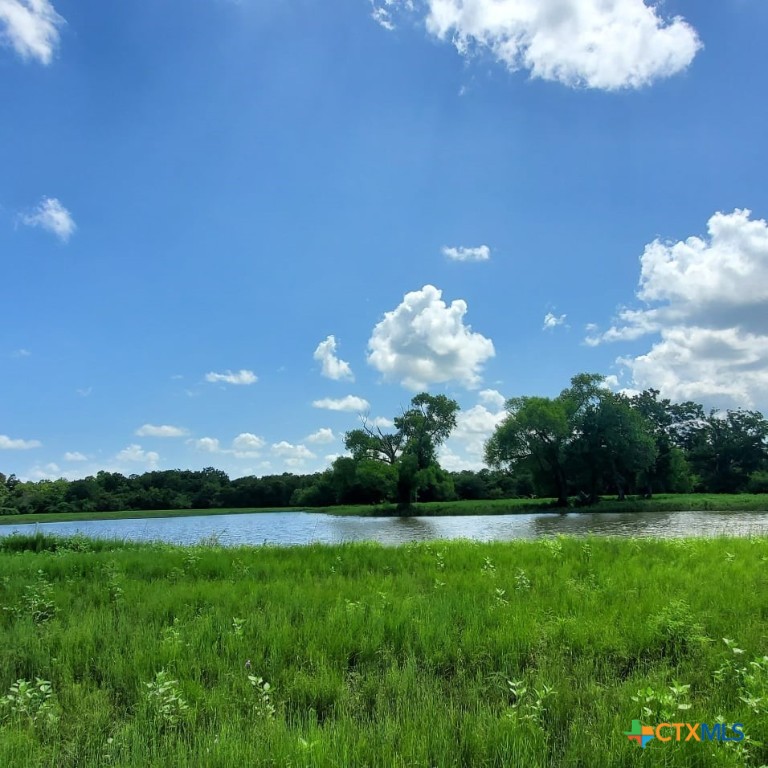 2224 Levee Road Property Photo 6