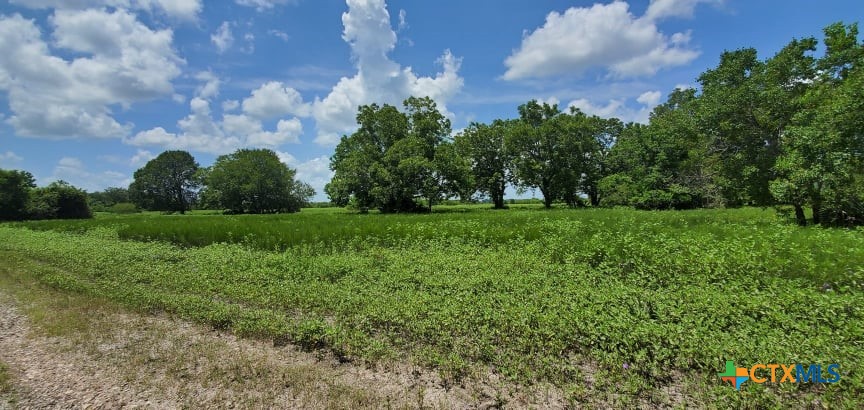 2224 Levee Road Property Photo 8