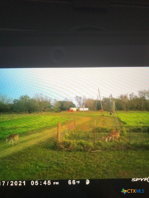 2224 Levee Road Property Photo 41