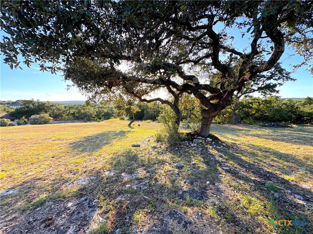 708 Malaga Court Property Photo 14