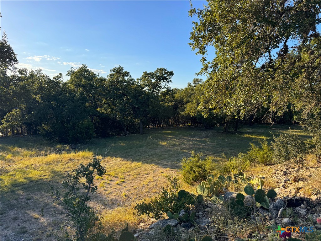 708 Malaga Court Property Photo 16