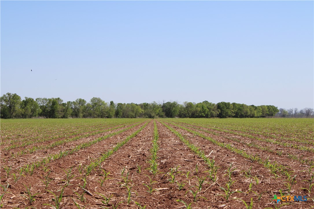 Tbd County Road 301 Property Photo