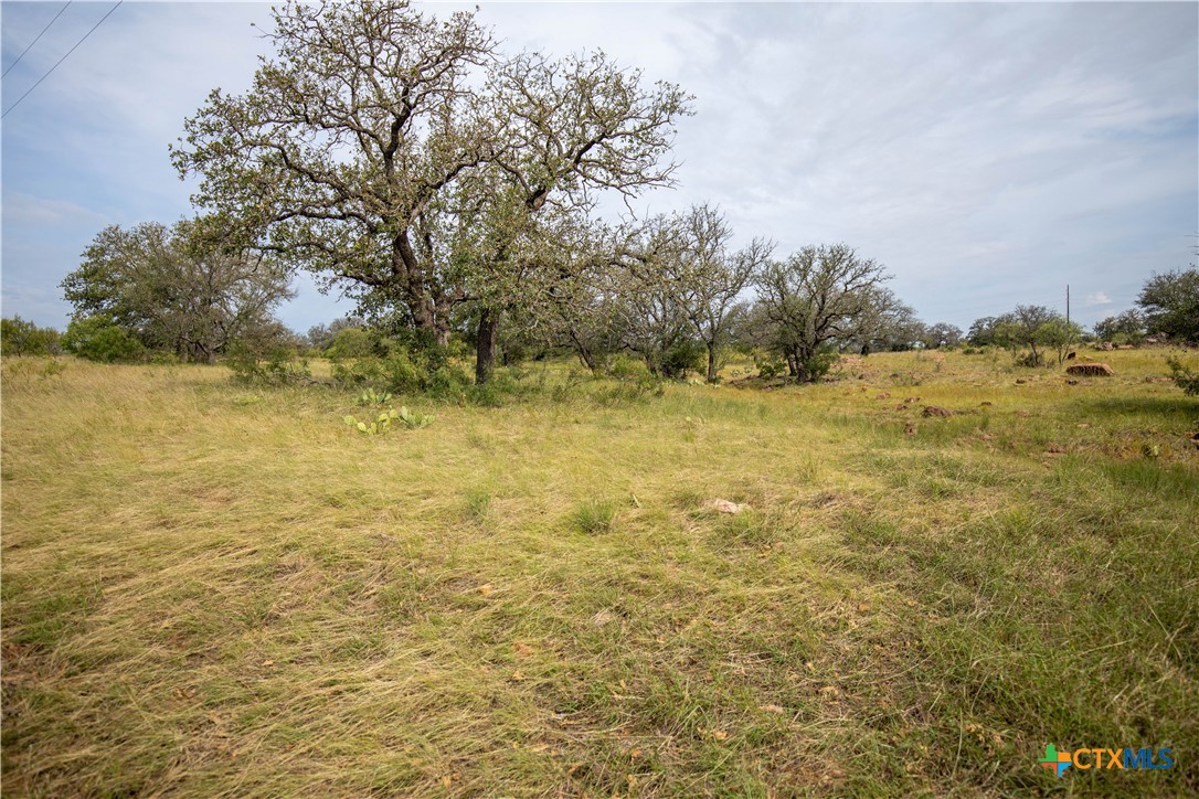 22 Acre W Sh 29 Property Photo 3