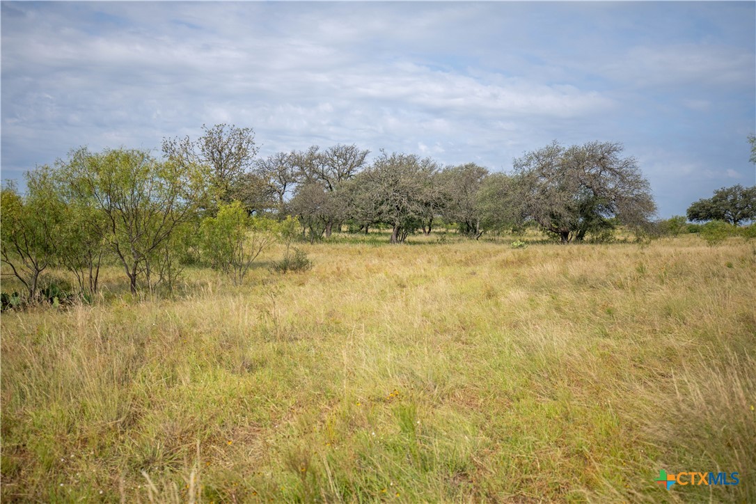 22 Acre W Sh 29 Property Photo 5