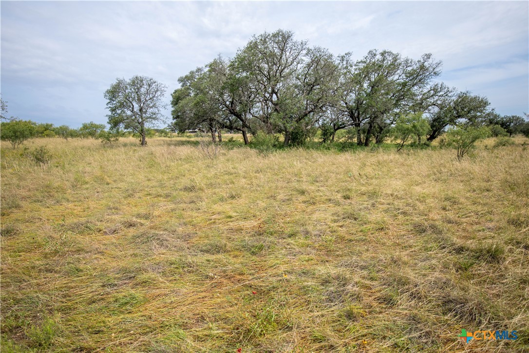 22 Acre W Sh 29 Property Photo 8