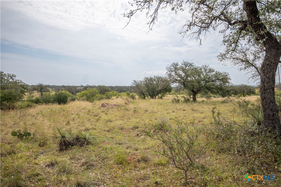 22 Acre W Sh 29 Property Photo 16