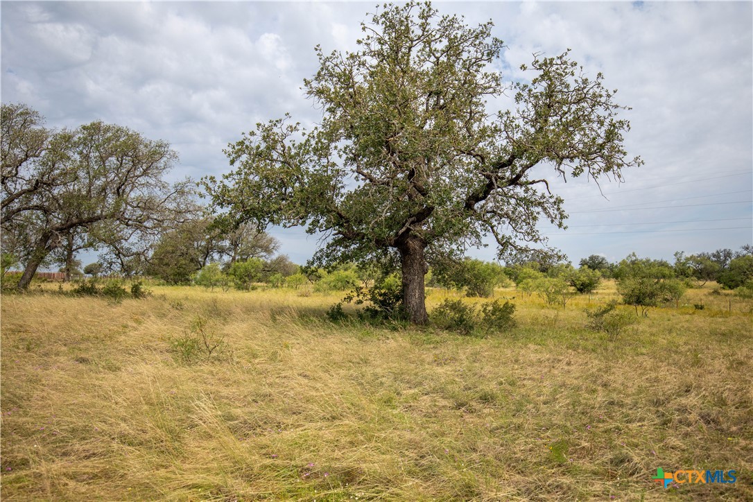 22 Acre W Sh 29 Property Photo 17