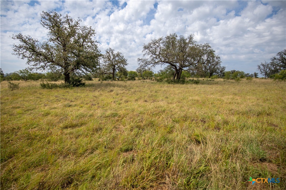 22 Acre W Sh 29 Property Photo 18