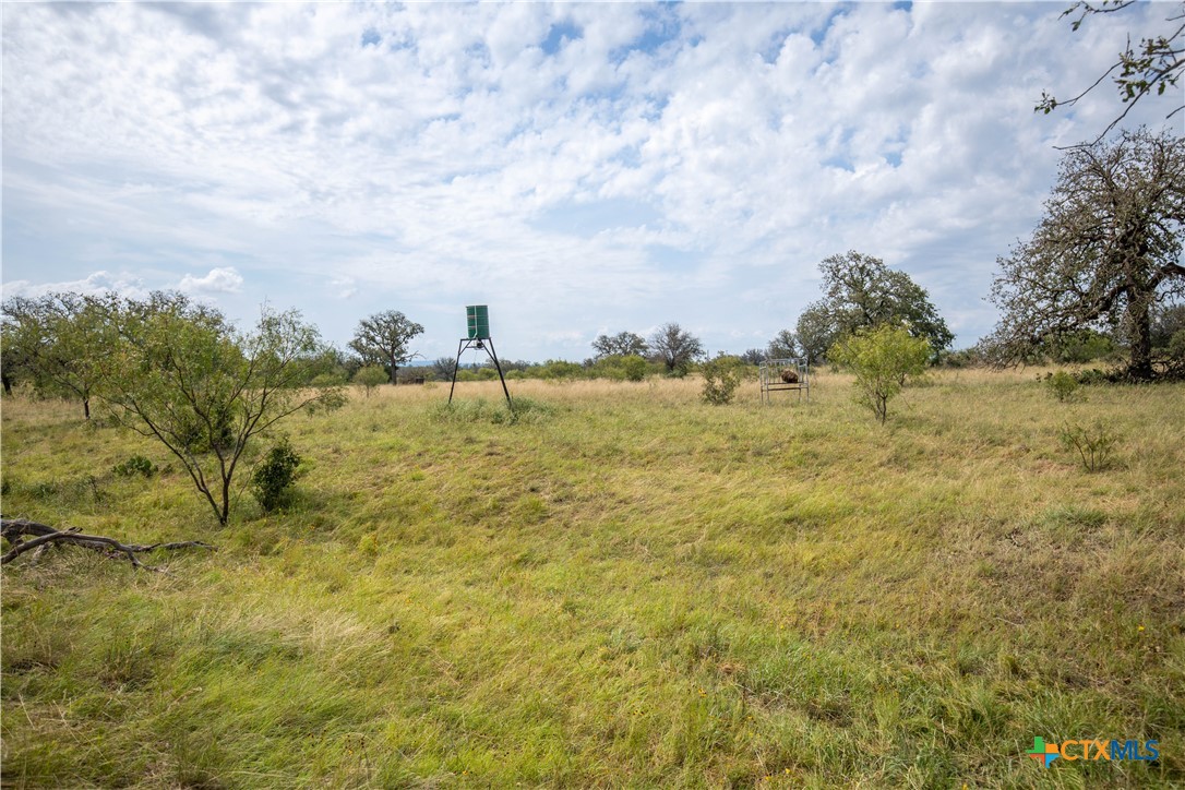 22 Acre W Sh 29 Property Photo 19