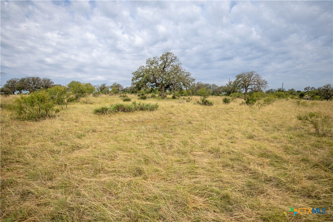 22 Acre W Sh 29 Property Photo 20