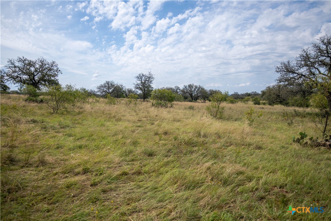 22 Acre W Sh 29 Property Photo 23
